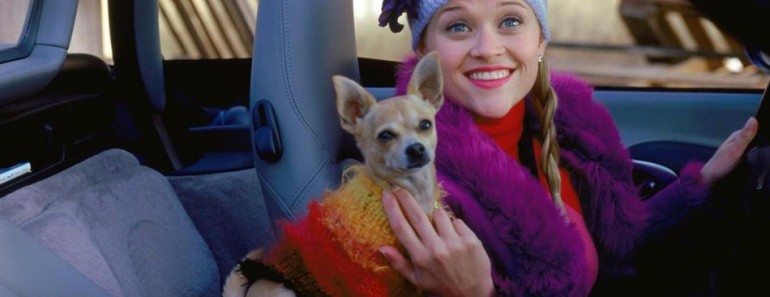 Reese Witherspoon’s Beloved Dog Bruiser Woods Dies At 19