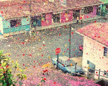 Sony Rains 8 million Colorful Petals in Costa Rica
