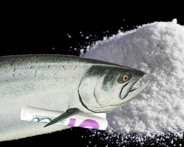 Cocaine Found in Seattle Salmon