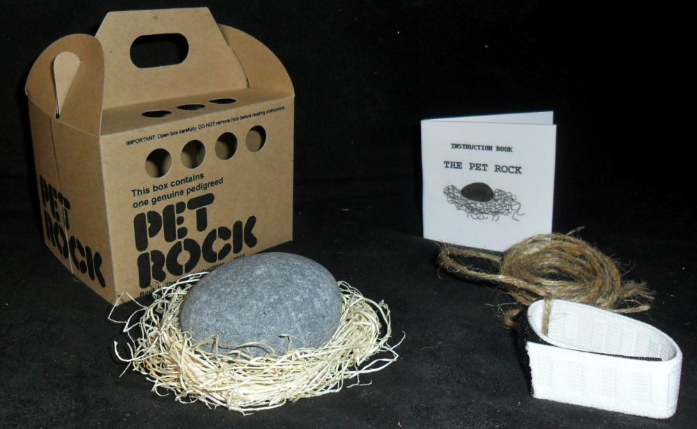 pet rock image 1 – Suggestive.com | Everyday News and Entertainment