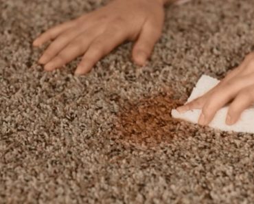 Nine Reasons to Have Carpets Cleaned Year Round​