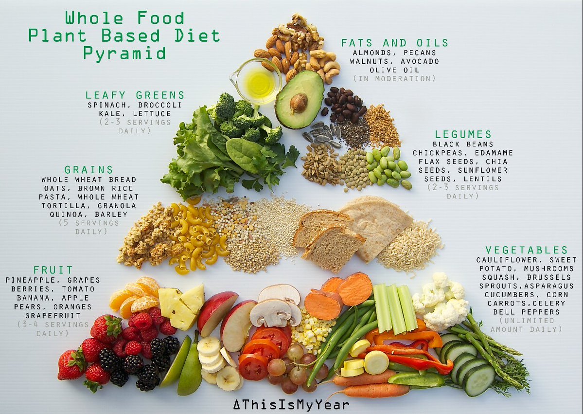 Vegan Food Pyramid