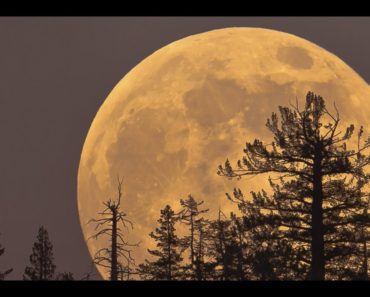 Full Cold Moon – The First and Only Supermoon of 2017