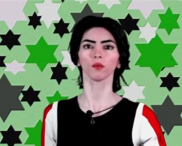 Online Aesthetics, Gun Control, and Probably Cause: The Strange Tale of the Youtube Shooter