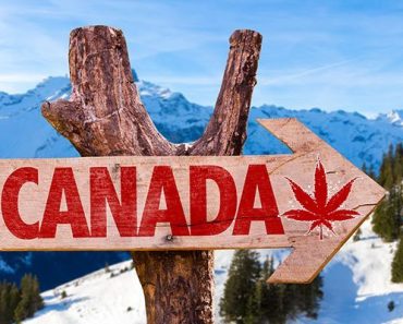 Cannabis Tourism Becomes the Hottest New Trend in Canada