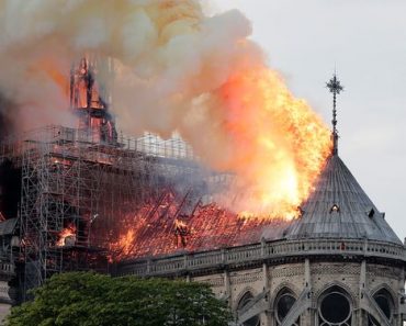 Why Did the Notre Dame Fire Affect Us So Deeply?