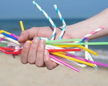 The Plastic Straw Ban – Why and Where You Can Expect a Shortage of Plastic Straws